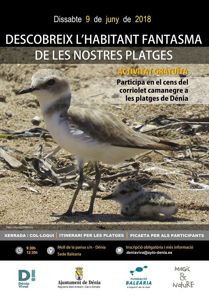 CENSO SOBRE EL HABITANTE FANTASMA DE LAS PLAYAS DE