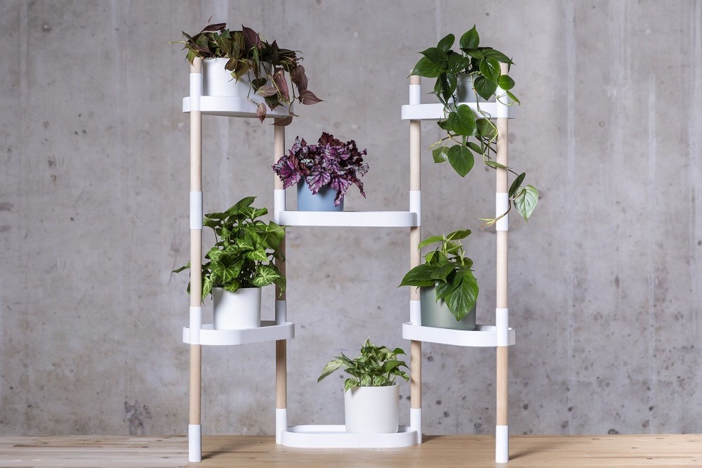 Reverdece tu espacio: nueva estantería para plant