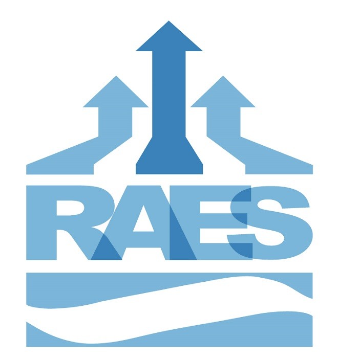 Diaple, Empresa integrada en la RAES (Red Aragones